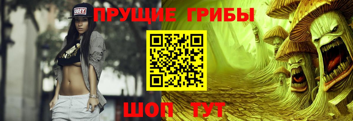 Псилоцибиновые грибы GOLDEN TEACHER  Галлюциногенные грибы MAGIC MUSHROOMS  Видное  Вход с VPN 