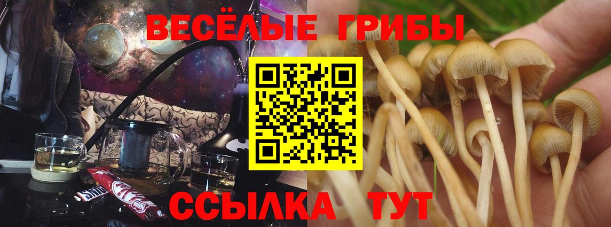 Псилоцибиновые грибы MAGIC MUSHROOMS Видное